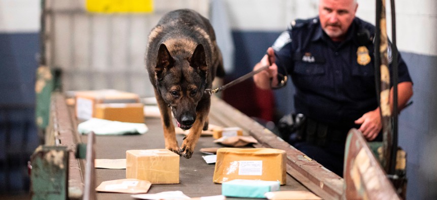 An officer from the Customs and Border Protection, Trade and Cargo Division works with a dog to check parcels for fentanyl at John F. Kennedy Airport's US Postal Service facility on June 24, 2019.